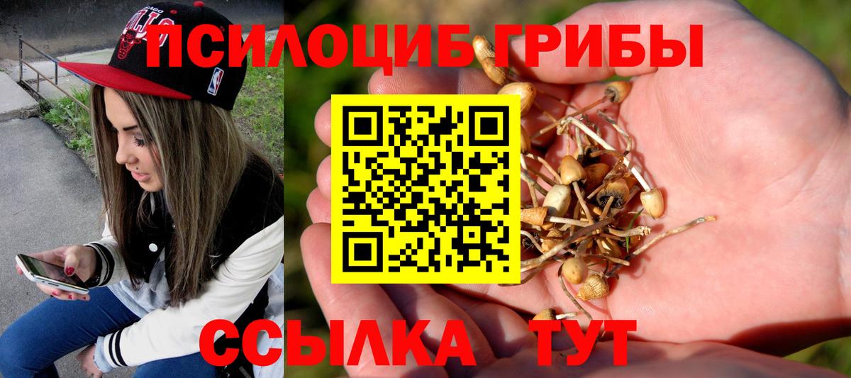 Псилоцибиновые грибы мицелий Орск