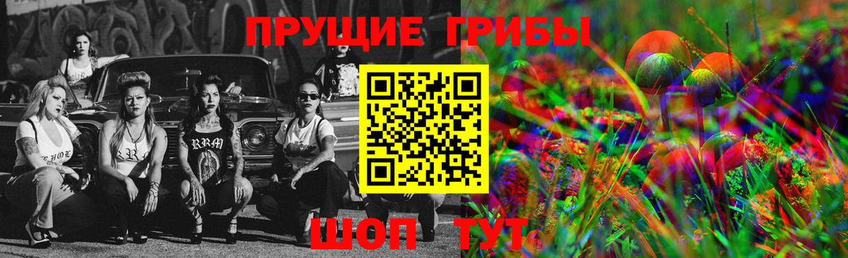 Орск  Галлюциногенные грибы Psilocybe  Вход с VPN 